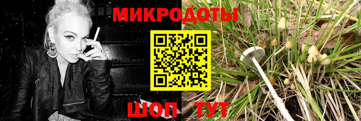 Волжский  Галлюциногенные грибы мухоморы  Псилоцибиновые грибы мицелий  Вход с VPN 