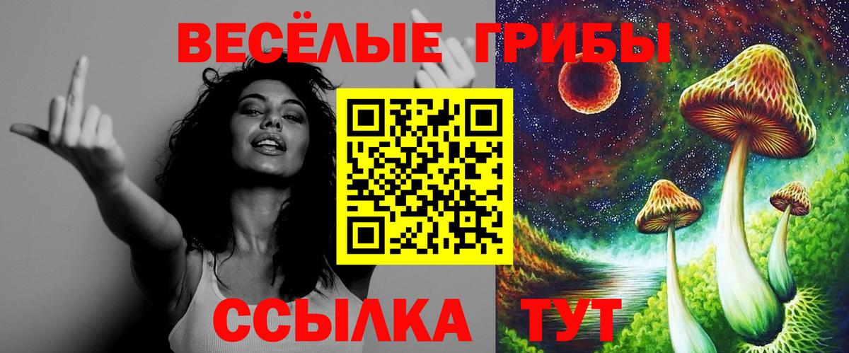 Псилоцибиновые грибы GOLDEN TEACHER Волжский